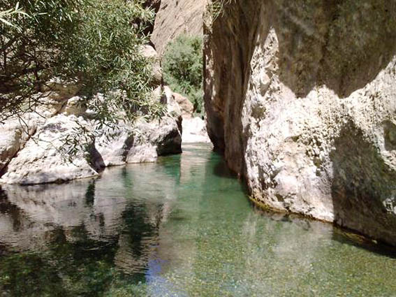مناطق نمونه گردشگري، فرصتي براي سرمايه گذاري/9
منطقه نمونه گردشگري دالاني
