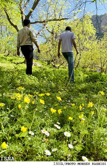 مناطق نمونه گردشگري، فرصتي براي سرمايه گذاري/21
منطقه نمونه گردشگري ريجاب