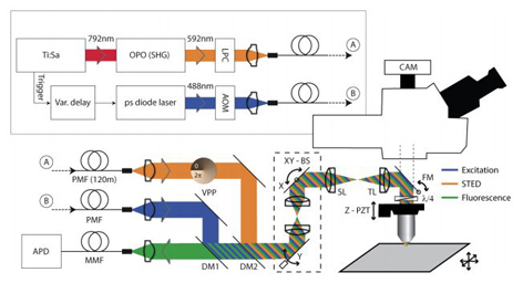 اختراع ميكروسكوپ براي بررسي سلول‌هاي زنده مغزي