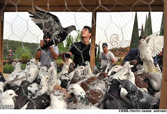 دستگيري متهم به قتل فراري در لانه کبوترها