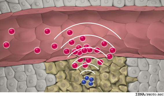 هدفگيري تومورهاي سرطاني با نانوذراتي كه با يكديگر صحبت مي‌كنند!